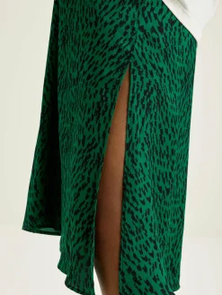 Taylor Midirok
